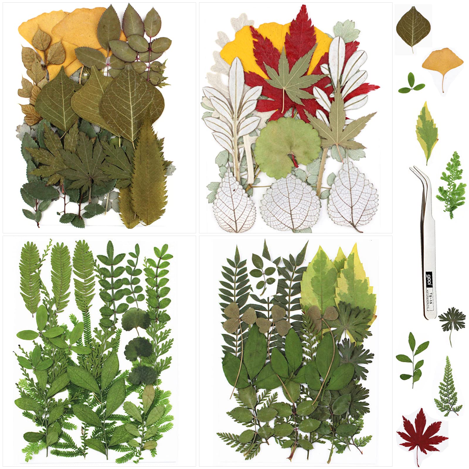 SPOKKI 75PCS Real Dried Leaves for Resin, Assorted Natural Dried Pressed Leaves with Tweezers for Candles Jewellery Scrapbooking Resin Crafts Nails Art (Leave Set)