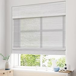 Pasoun Cordless Roman Shades for Windows, Window