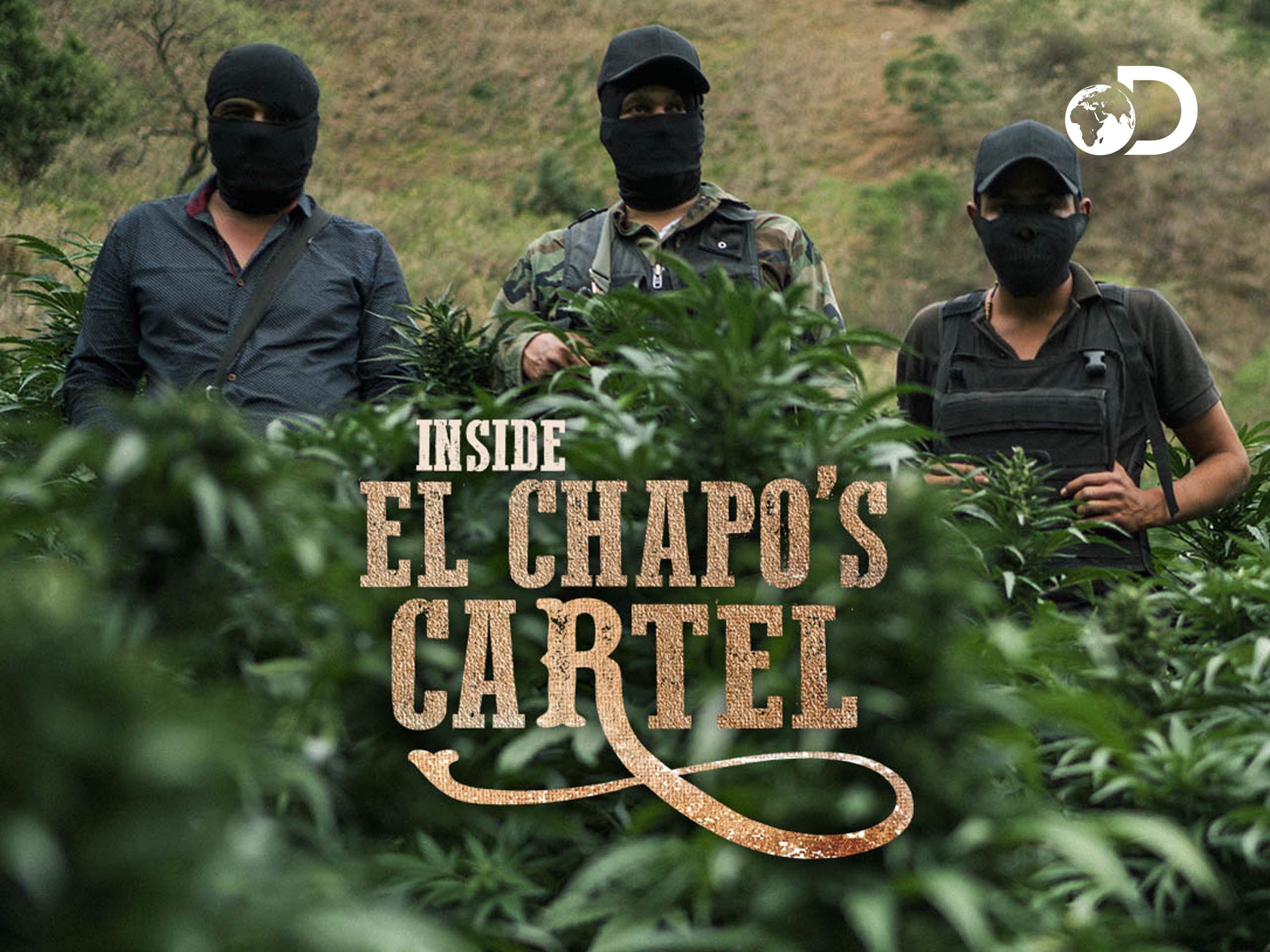 Watch Inside El Chapo's Cartel Season 1 Prime Video