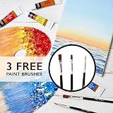 KOLOR KINGDOM 24 Colour Acrylic Paint Set with 3 Brushes 12ml Posca Style view 3