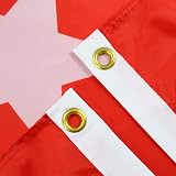 AZ FLAG Turkey Flag 2x3 ft 100D Polyester 2 Brass Eyelets Fade Resistant view 2