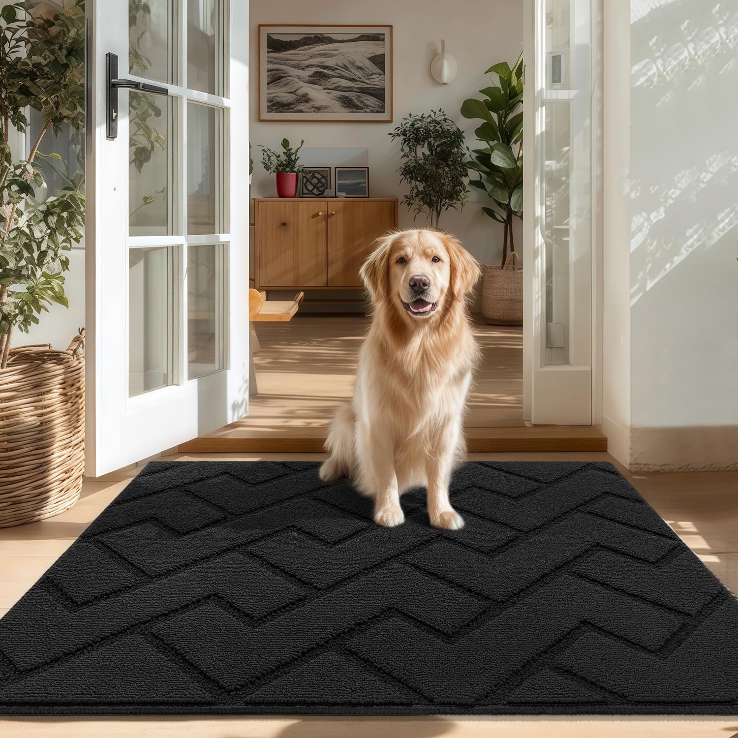 Biscpro Door Mat, 80x100cm DoorMat Indoor Washable, Doormat Indoor Dirt Trapper Non-slip,Absorbent Inside Entrance Rug Mat for Entryway,Patio,Garden,Laundry Room,Pets - Dark Gray
