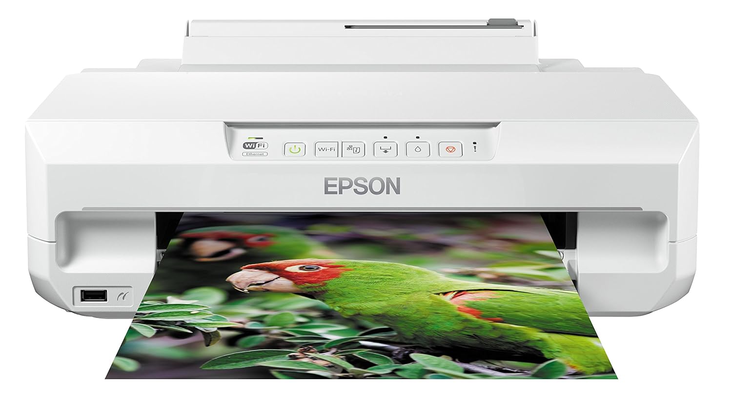 Epson Expression Photo XP Impresora fotográfica impresión directa desde CD o DVD