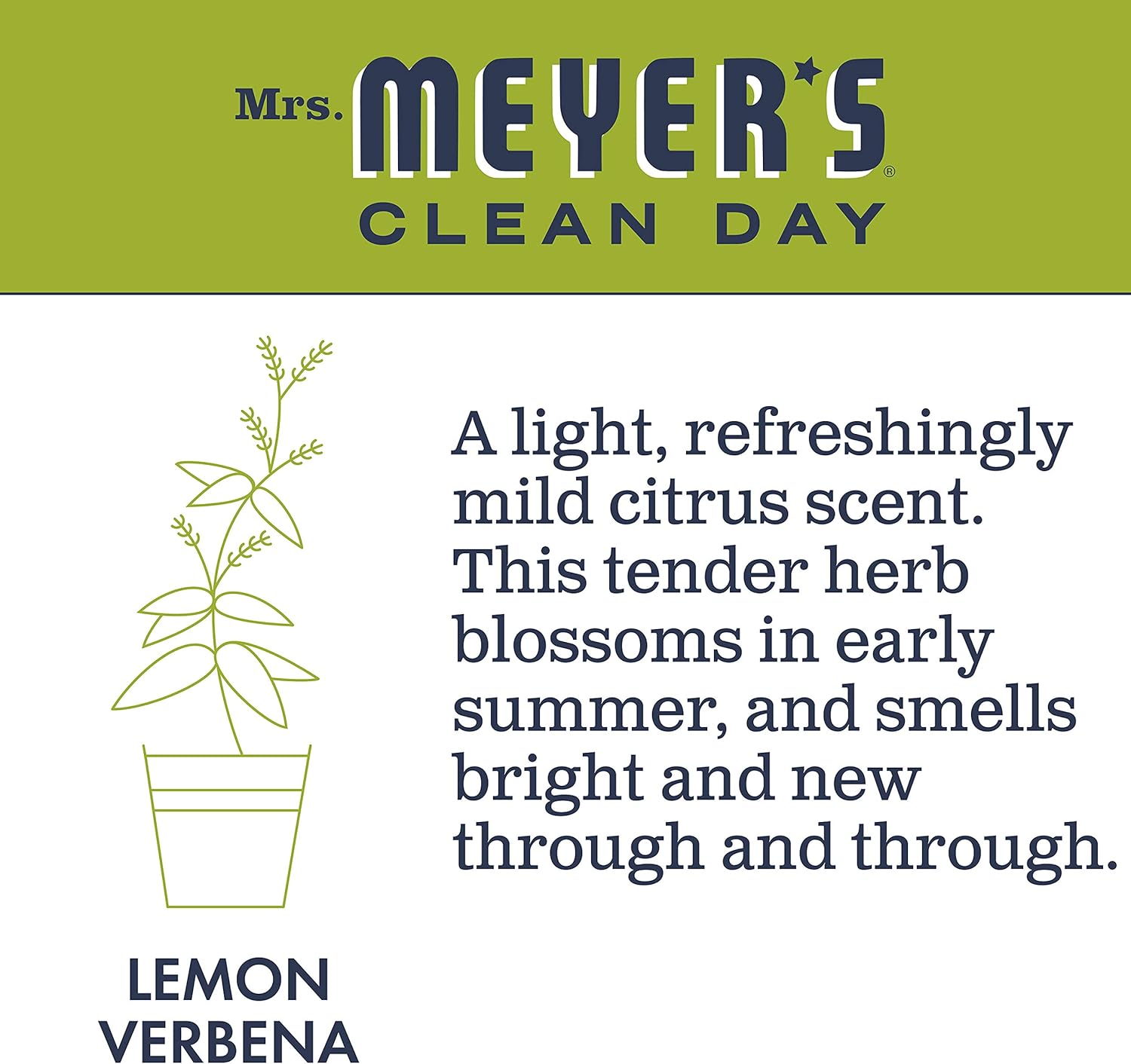 Mrs. Meyer's Clean Day Liquid Dish Soap, Cruelty Free Formula, Lemon Verbena Scent, 16 Oz- Pack of 3: Health & Personal Care