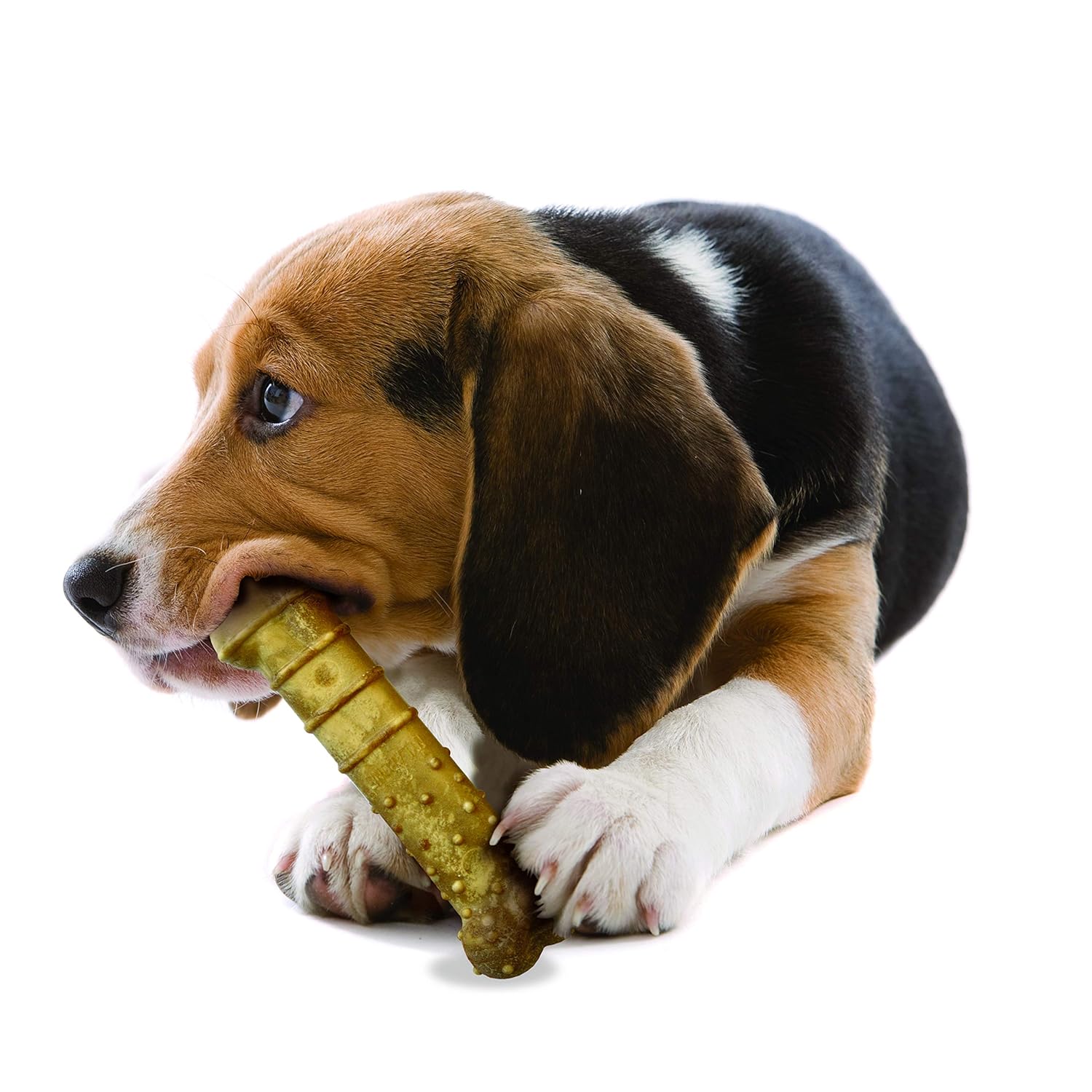 Nylabone Healthy Edibles Turkey & Apple Flavored Dog Treats 2 Count All