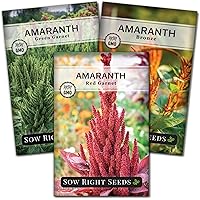 Organic Amaranth Grain Seeds