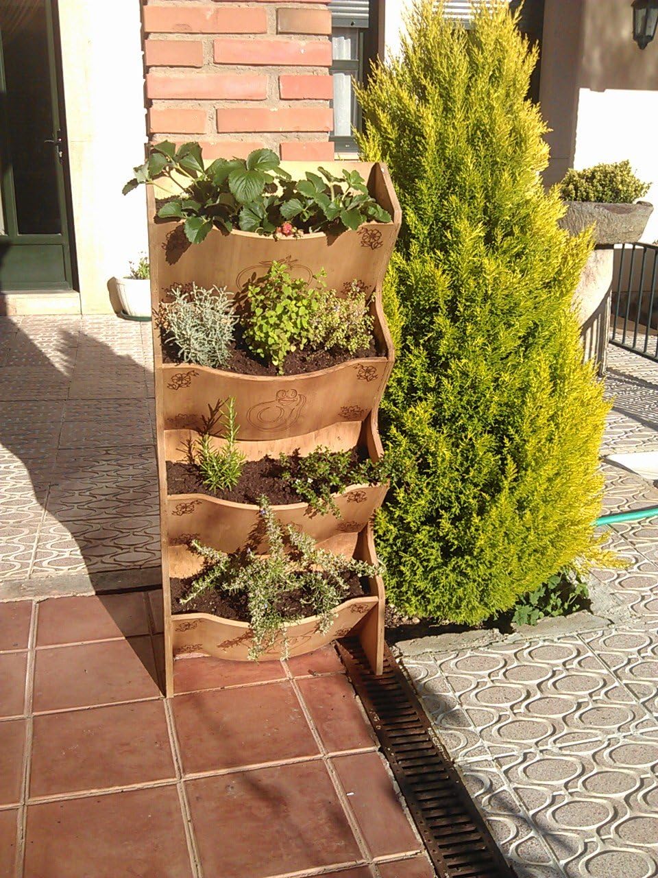 Expovinalia 40852050 Huerto urbano vertical, Roble Claro ...
