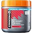 Gatorade Endurance Formula Powder, Watermelon, 32 Ounce