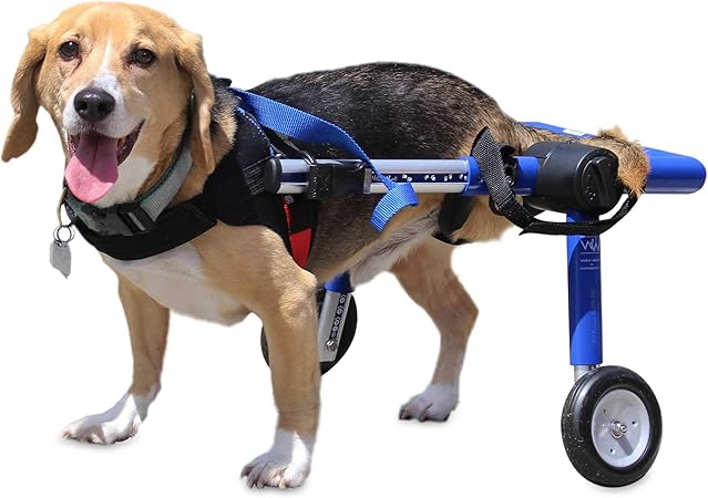 silla de ruedas para perros amazon