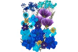 TOPFUNNY 30Pcs Dried Pressed Flowers for Resin DIY Art Crafts Natural Dry Leaves Daisy Epoxy Jewelry Real Rose Flower Decor Cakes Bookmarks Phone Cases Candles Handmade Soap Ocean Blue
