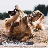 Newthinking No Stuffing Dog Toys 5 Pack Durable Plush Squeaky Toys view 4