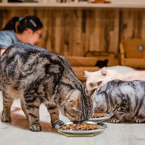 Stainless Steel Cat Dishes for Food and Water Bowls for Small Pets