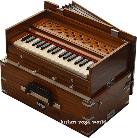 Harmonium Raga Kirtan 2 Sets Cane Sweet And Low Mini 2 5 Octave High Quality Sound Amazon De Musical Instruments