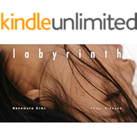 labyrinth (yvl-publishing) (Japanese Edition) book cover