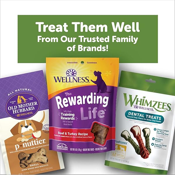 WHIMZEES WELLNESS ALLIGATOR DOG DENTAL TREAT, CHEWS, FRESHENS BREATH, LARGE SIZE, 12.7 OZ BAG, 6 COUNT