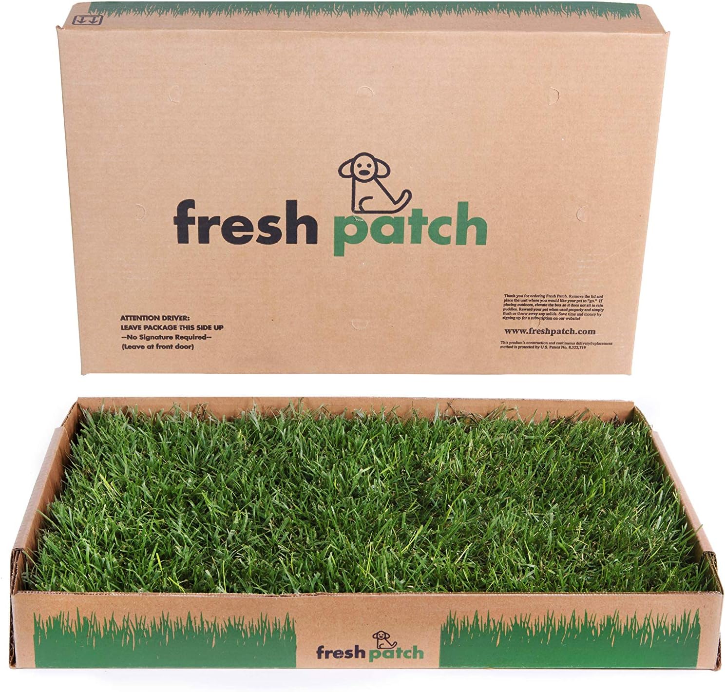 fresh grass patch for dogs