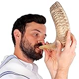 HalleluYAH Authentic Ram Shofar