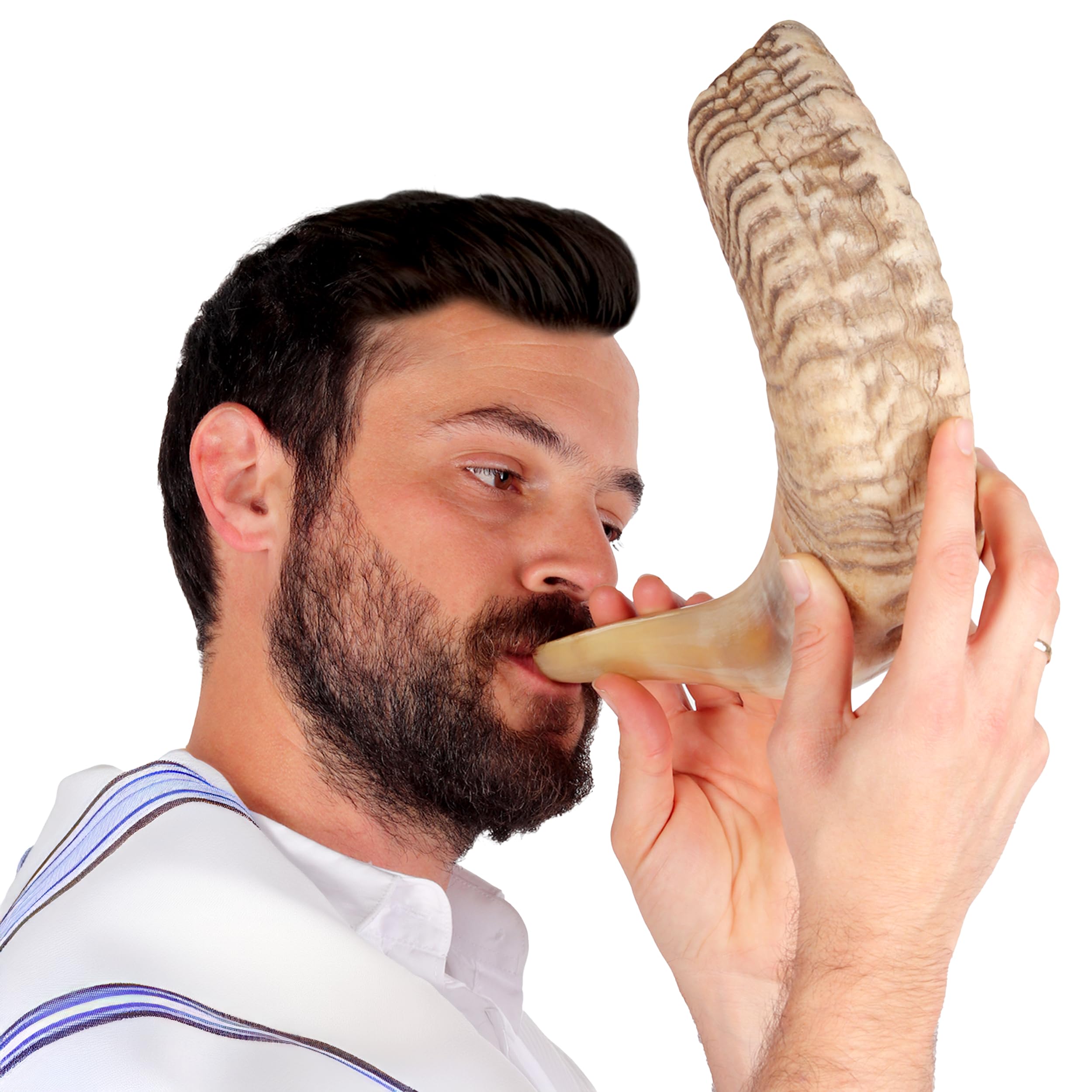HalleluYAH Authentic Ram Shofar
