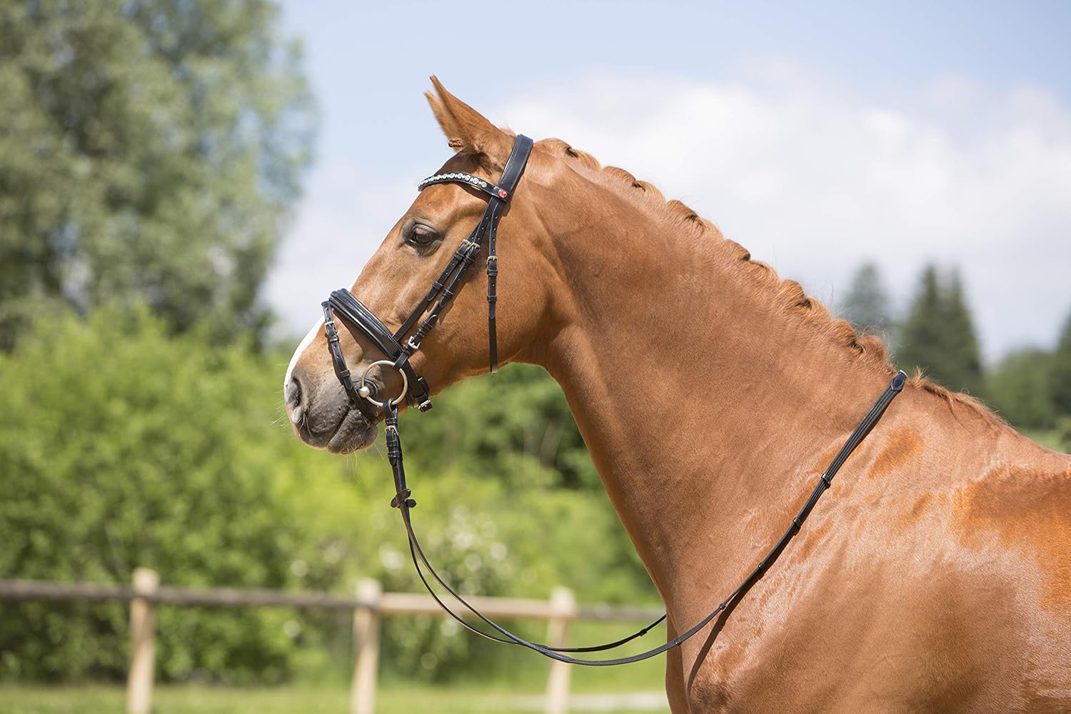 Bridon à filet Kieffer Ultrasoft Deluxe - Magasin de chevaux