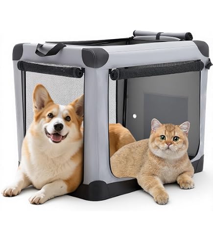 Amazon.com : NEWBULIG Collapsible Dog Crate 36 Inch, Portable