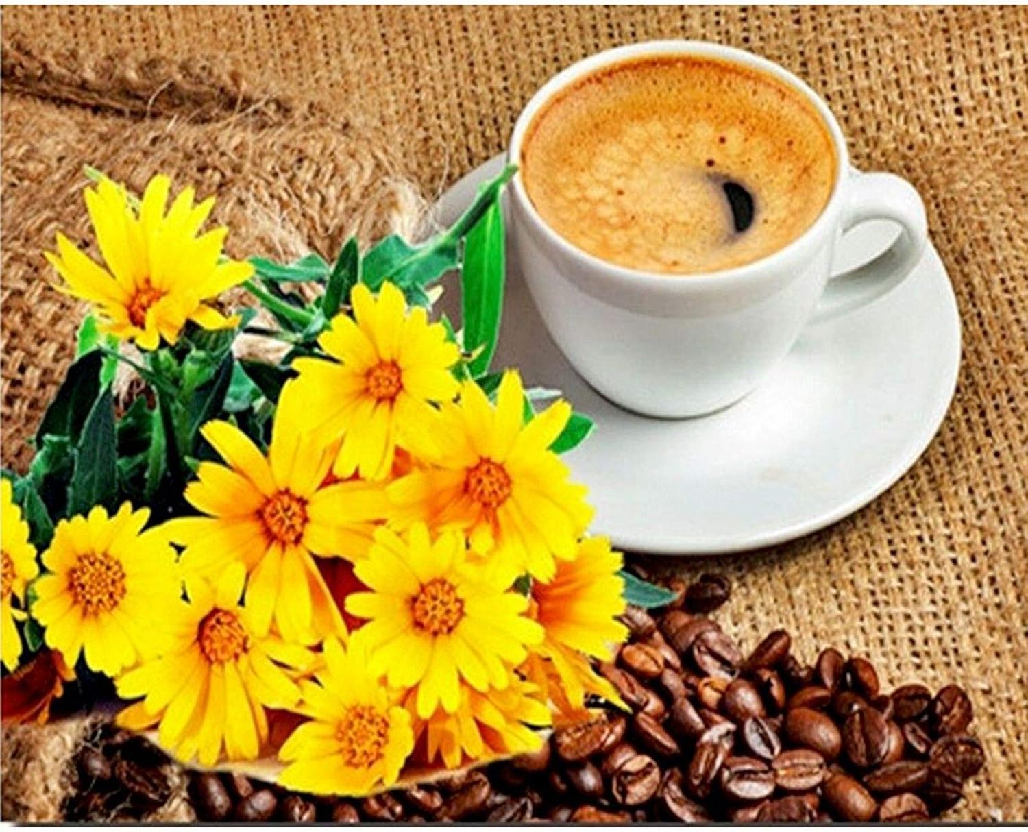 Amazon.com: DIY 5D Diamond Painting by Number Kits, Full Round Drill