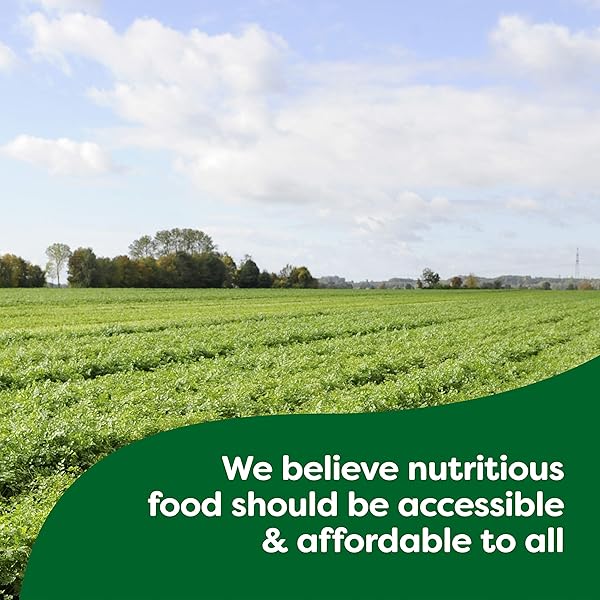 KNORR RICE SIDES CREAMY CHICKEN LONG GRAIN RICE AND VERMICELLI PASTA BLEND FOR A TASTY RICE SIDE DISH 5.7 OZ