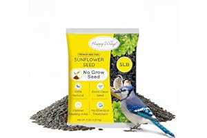 Happy Wings Black Oil Sunflower Seeds – 5 lb Wild Bird Food for Cardinals, Finches & Chickadees – High-Energy Natural Bird Feed for All Life Stages