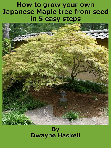 Download How to grow your own Japanese Maple tree from seeds in 5 easy steps (English Edition) PDF