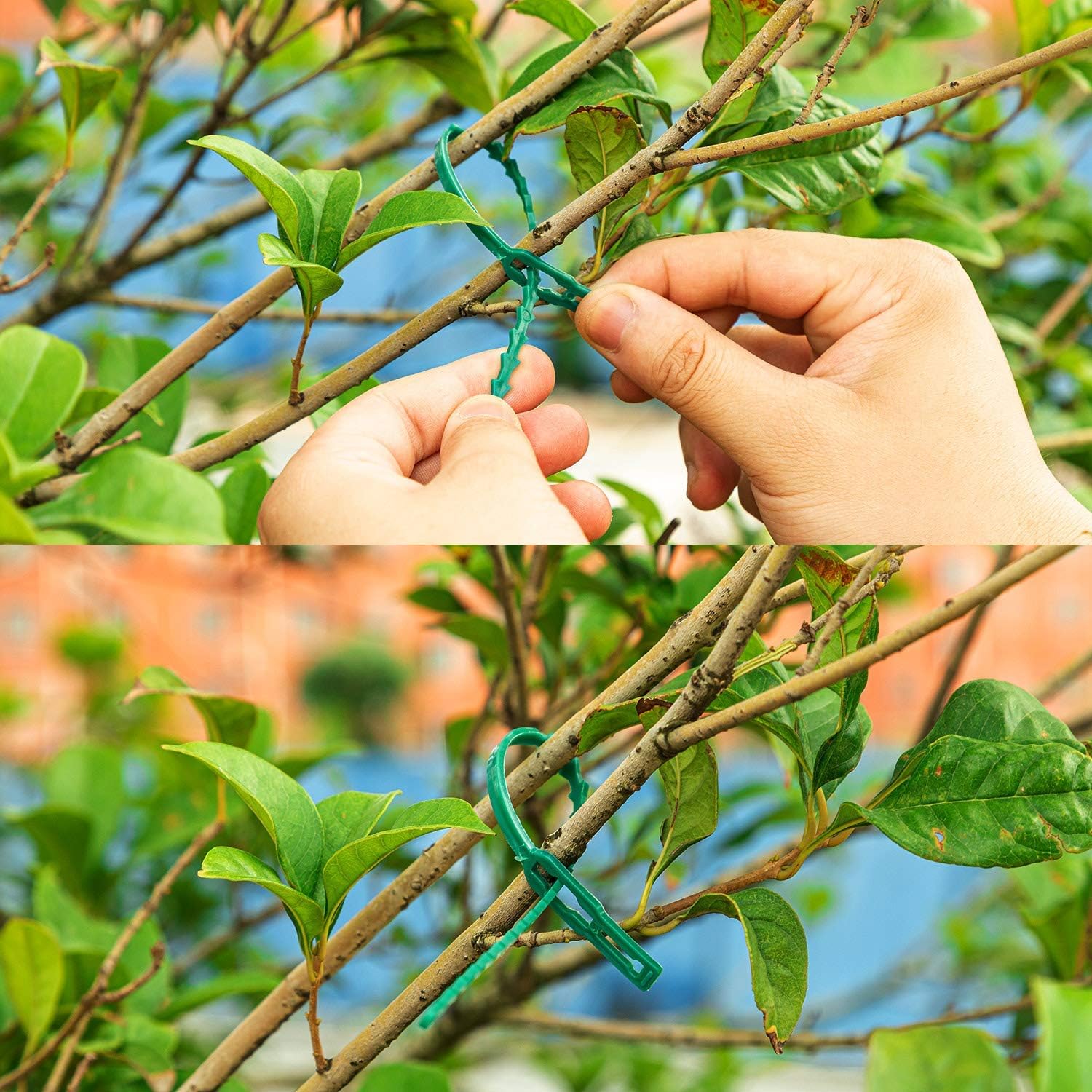 Gardening Adjustable Garden Plant Ties for Tomato Flower