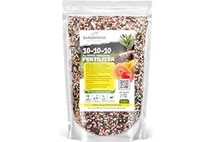 GARDENWISE 10-10-10 Plant Fertilizer Slow Release – 10 10 10 All Purpose Granular Garden Fertilizer for Fruit Trees, Evergreens, Vegetables, Arborvitae, Fig Trees, Shrubs, Pines, Oaks, Flowers (3 QUARTS)