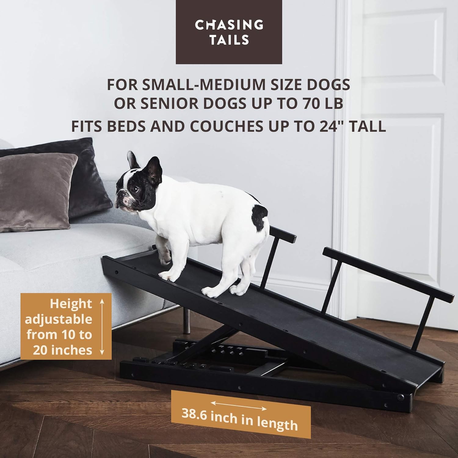 Chasing Tails Dog Ramp for Bed - Pet Ramp for Small/Large Dogs, Paw Ramp for Dogs and Cats, Adjustable Height from 10 to 20 Inches - Sturdy, with Side Rails for Additional Safety : Pet Supplies
