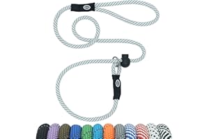 Hiado Slip Lead Dog Leash with Stopper Loop Rope Training No Pull for Small Medium Large Dogs 6ft Black Dot
