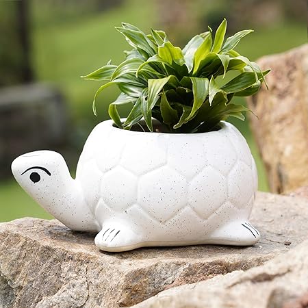 Lyallpur Stores Ceramic Handmade Planter Pot,Big Turtle Shape (White Color) Plant Container for Home Decor Pack of 1
