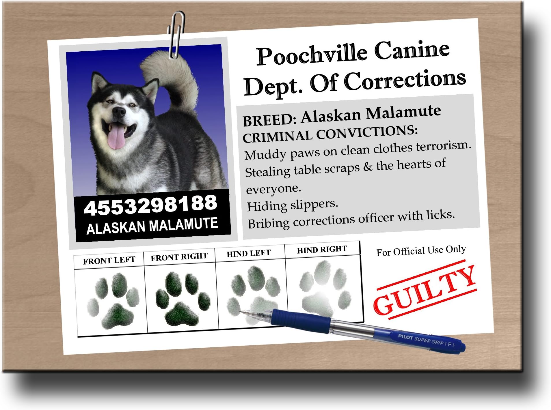Alaskan Malamute Rap Sheet Fridge Magnet
