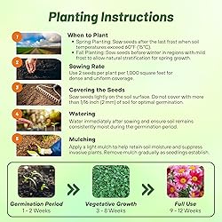 Outsidepride Robinson's Mix Chrysanthemum Seeds