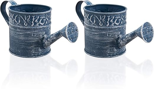 Amazon Com Barnyard Designs Mini Rustic Galvanized Metal