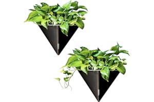 LÁLÁGREEN LaLaGreen Wall Planters for Indoor Plants - 2 Pack, 12 Inch Large Self Watering Black Geometric Hanging Flower Vase Vessel with Metal Hanger, Modern Stylish Wall Mounted Succulent Pot Holder Decor