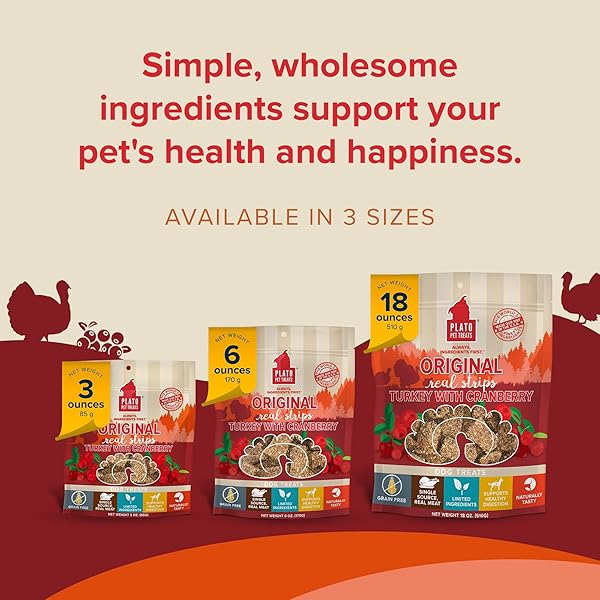 PLATO TURKEY REAL STRIPS NATURAL DOG TREATS – REAL MEAT – AIR DRIED – MADE IN THE USA – TURKEY & CRANBERRY, 3 OUNCES