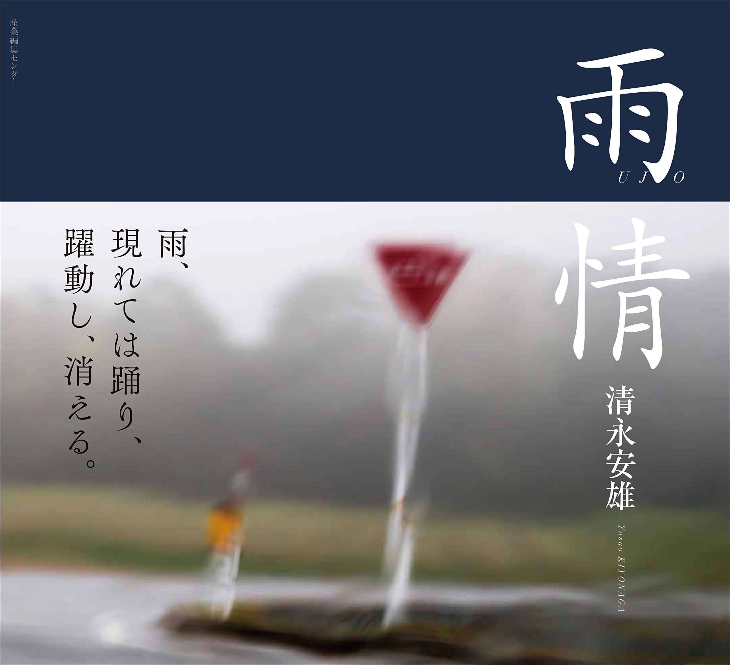 雨情 安雄 清永 本 通販 Amazon
