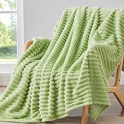 BEDELITE Sage Green Throw Blanket for Couch