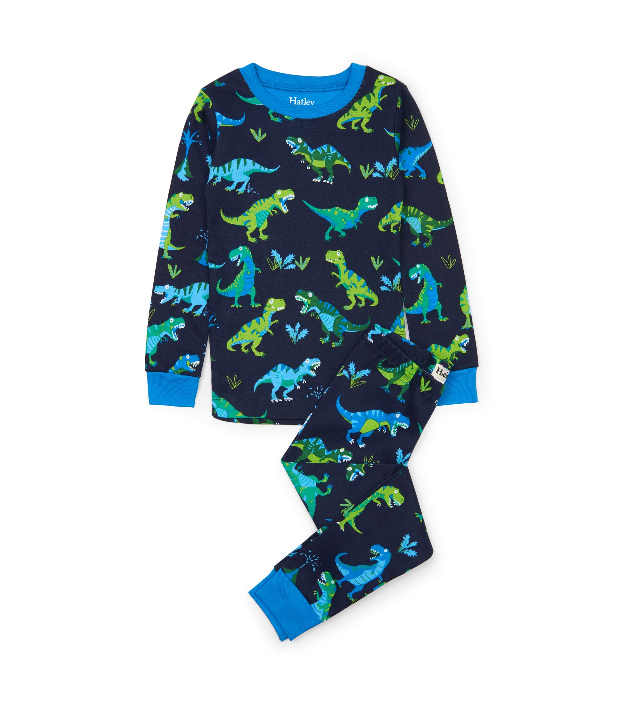 Hatley Boys Organic Cotton Long Sleeve Printed Pajamas, Sharptooth Rex, 4 Years Image