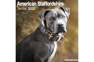 American Staffordshire Terrier Calendar 2025 | Square Dog Breed Wall Calendar - 16 Month