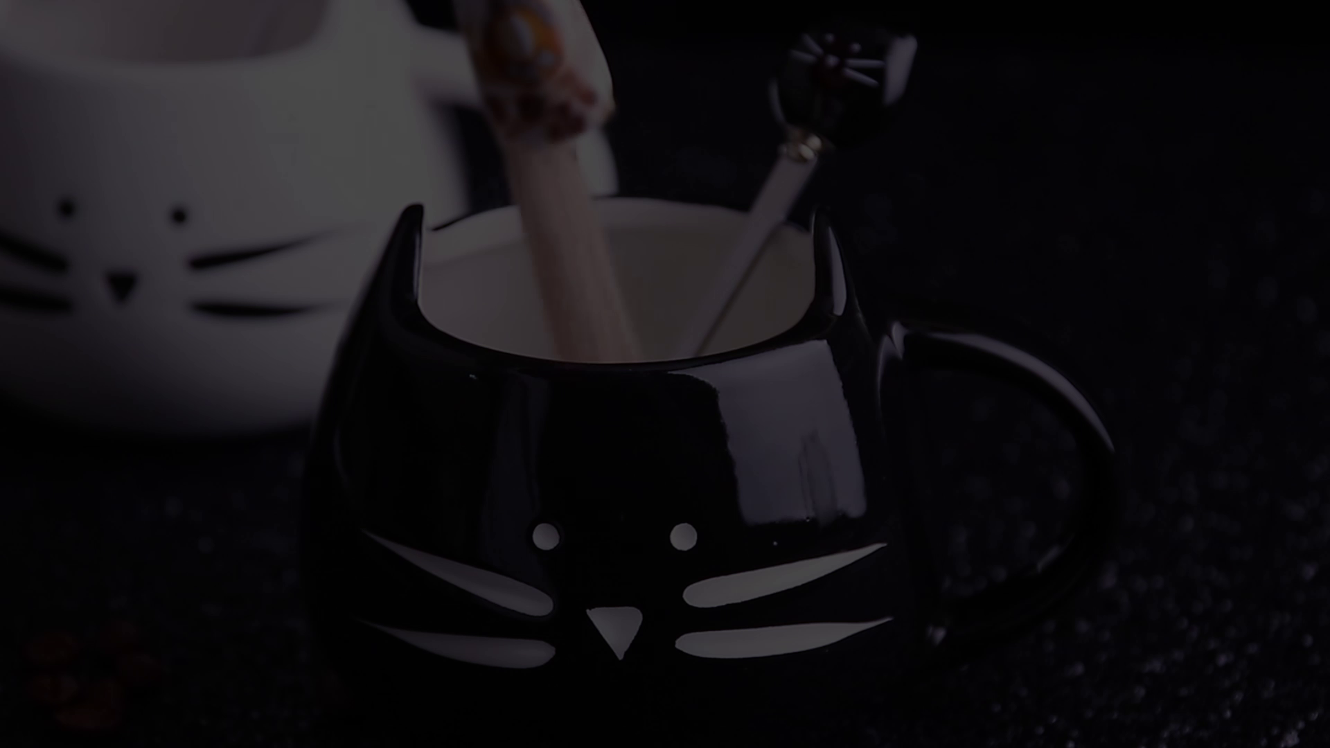 Koolkatkoo-Cute-Cat-Mug-Ceramic-Coffee-Mugs-Set-Gifts-for-Women-Girls-Cat-Lovers-Funny-Small-Cup-with-Spoon-12-oz-Black-and-White-