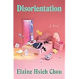 Disorientation: A Novel