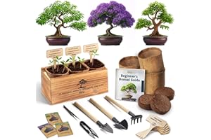 Avergo Bonsai Tree Kit – 3X Unique Japanese Bonzai Trees | Complete Indoor Starter Kit for Growing Bonsai Plants with Tools & Planters – Gardening Gifts for Women & Men