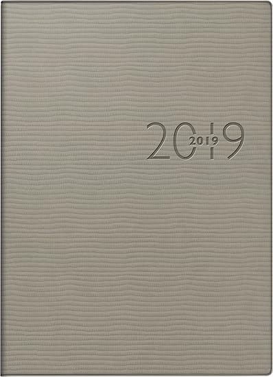 rido/idé 701812680 Taschenkalender perfect/Technik I, 2 Seiten = 1 Woche, 100 x 140 mm, Kunstleder-Einband Tejo grau, Kalenda