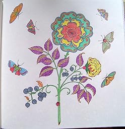 Secret Garden: An Inky Treasure Hunt and Coloring Book: Johanna Basford