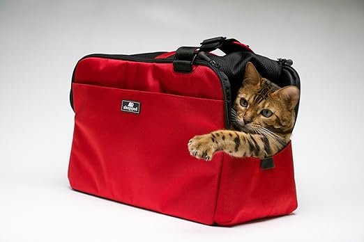 airline cabin pet carrier