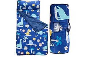 DUSHOW Toddler Nap Mat with Pillow and Fleece Blanket,Ultra Soft Portable Slumber Bags for Girls,Kids Sleeping Bags with Rollup Design, Perfect for Preschool,Daycare,Kindergarten,-Dinosaur