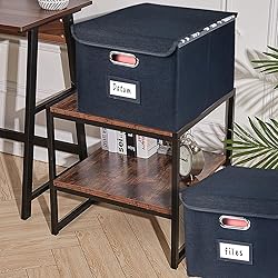 Desihum Collapsible File Organizer Box, filing